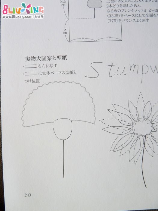 P1070784.jpg