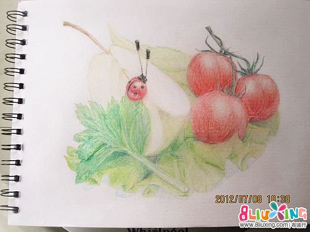 【瓜果蔬菜季】--甲壳虫的早餐(穿过树梢的阳光