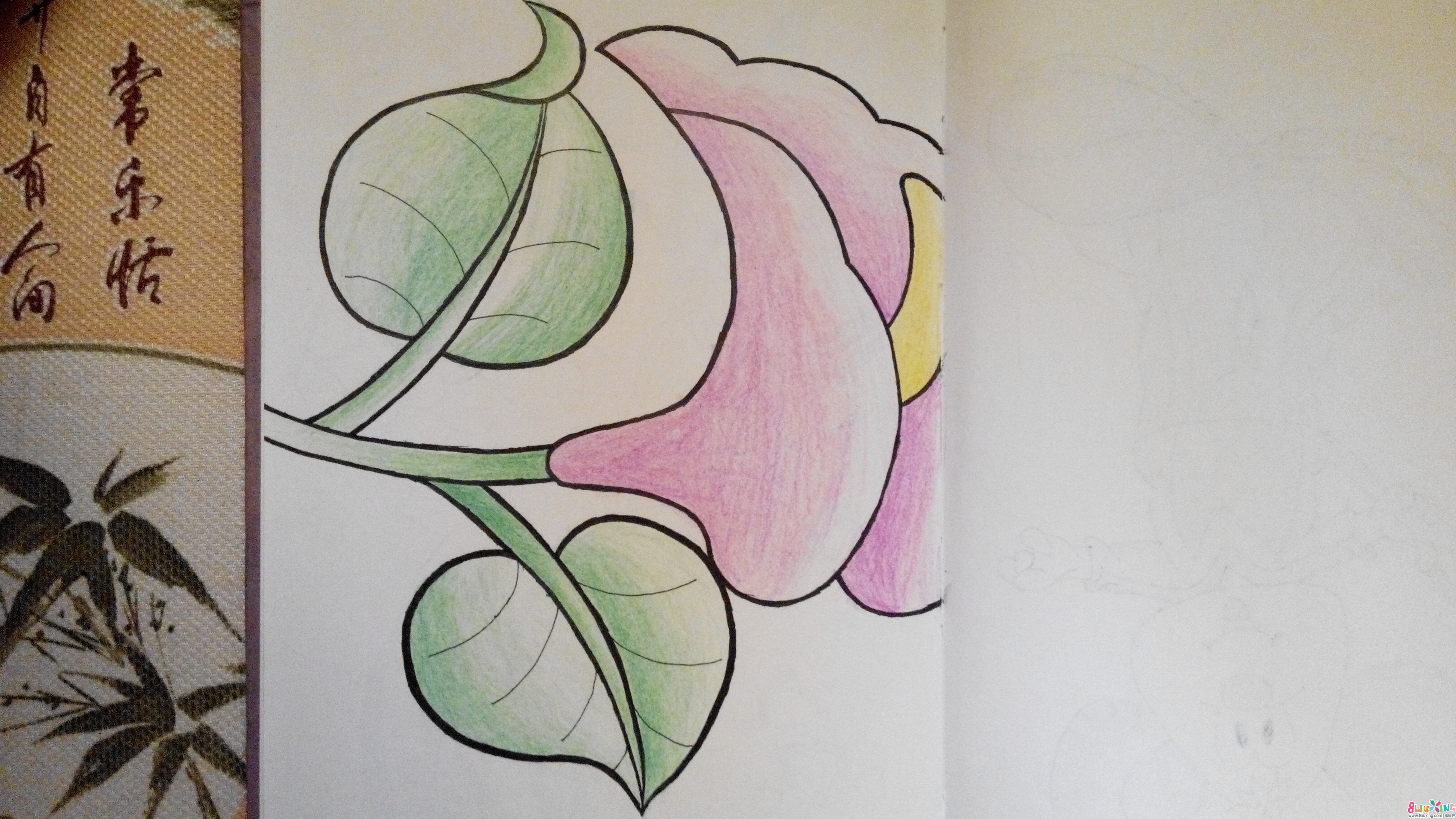 彩铅花卉素描图解图片大全_彩铅花卉素描图解图片 ...